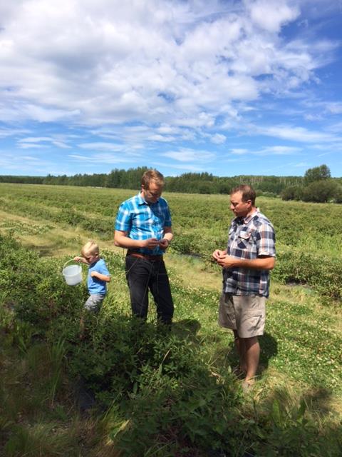 Broken Tine Orchard – Beaverlodge, AB