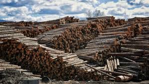 WARKENTIN CONCERNED BY NEW DUTIES ON SOFTWOOD