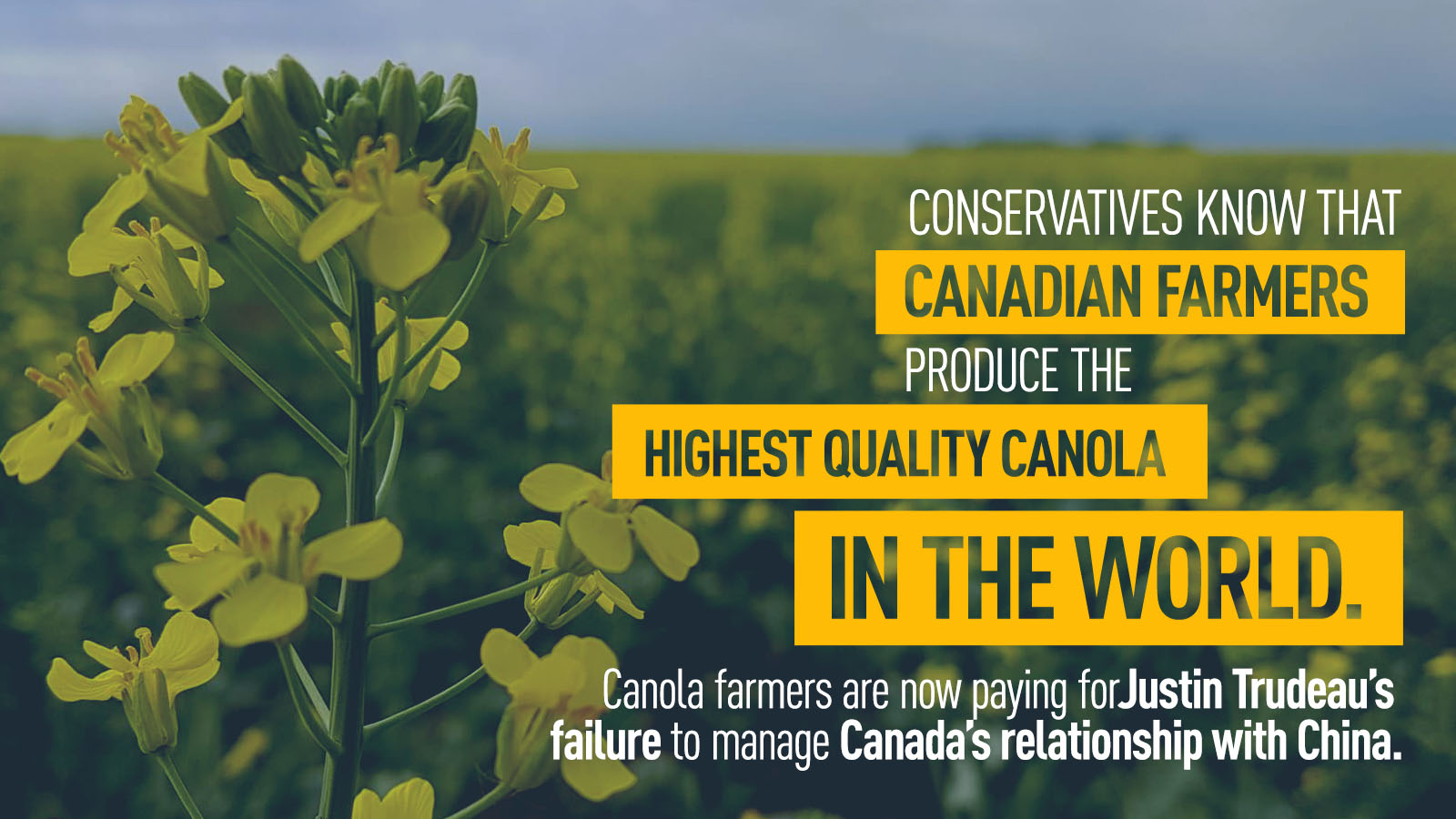 LIBERALS REJECT DEBATE ON CANADA-CHINA CANOLA CRISIS